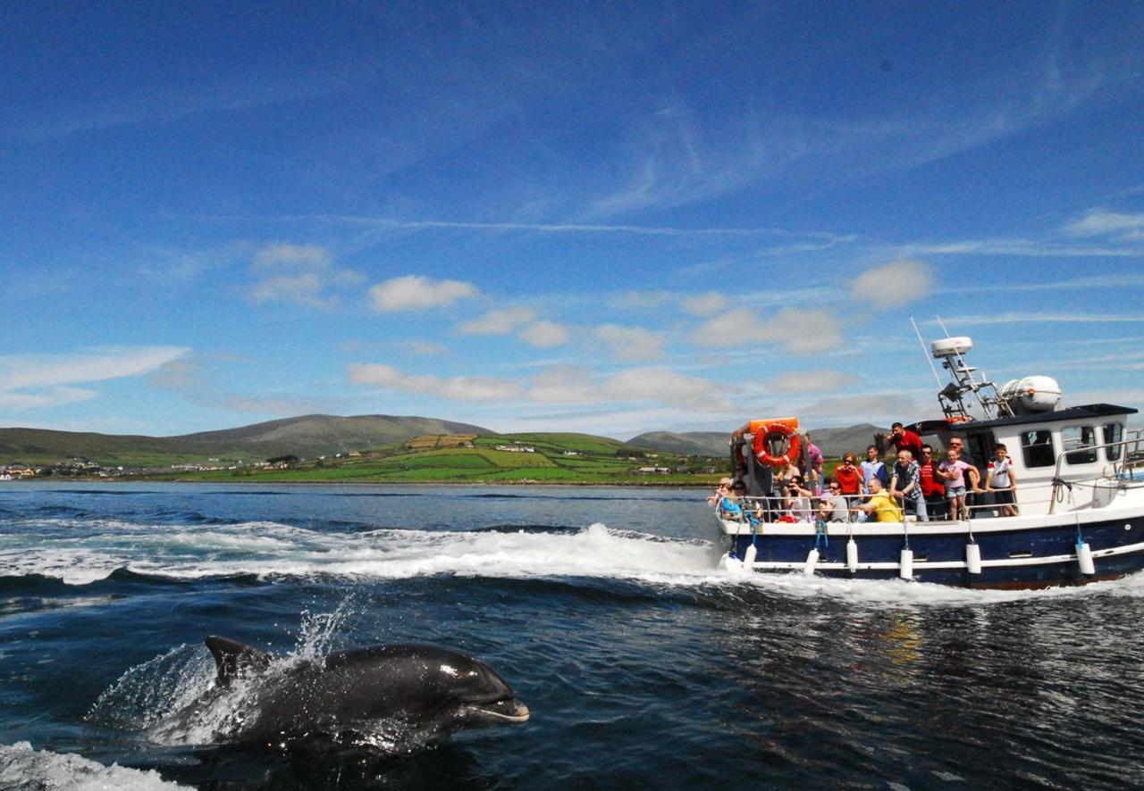 Dingle Harbour Cottages 3 Bed Sleeps 7 By Trident Holiday Homes Zewnętrze zdjęcie